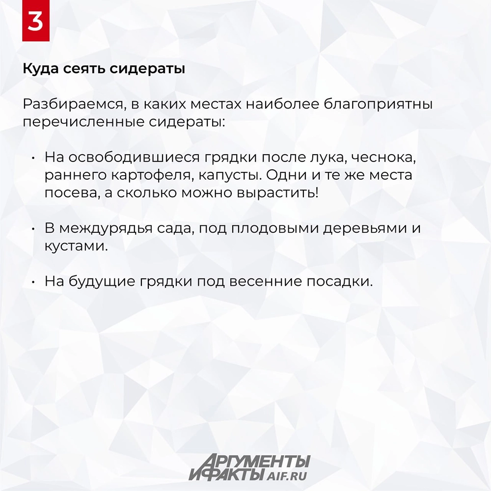 Как сидераты стоит посеять в августе
