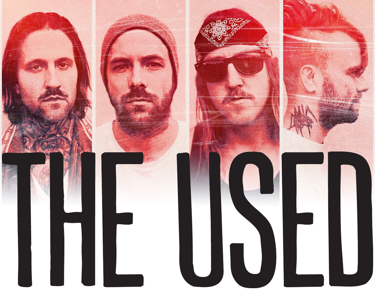 The used the bird. Used лого. The used логотип. The used альбомы. The used обложка.