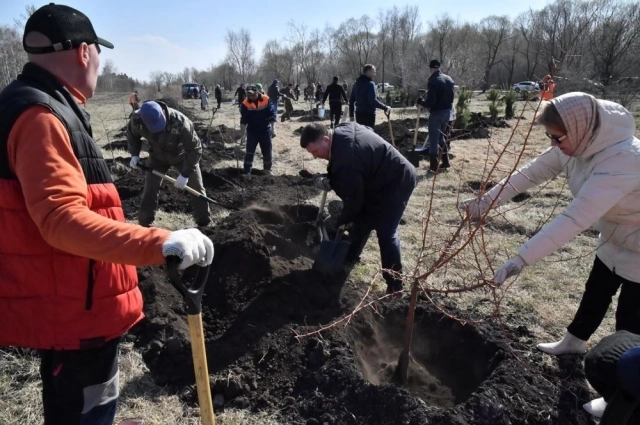 Присоединиться можно на официальном сайте садпамяти2024.рф.