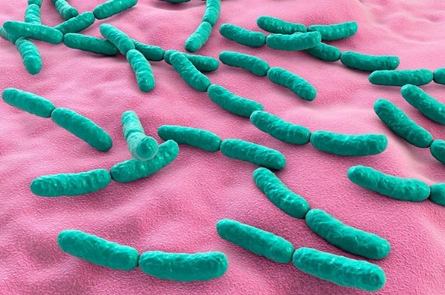 Как обнаружить Helicobacter pylori? Бактерия, вызывающая рак желудка