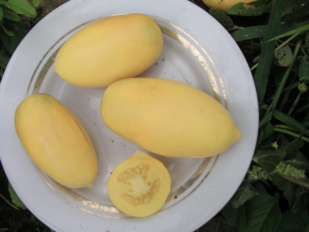 Сосулька белая.