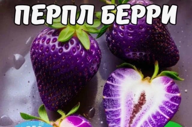 Скриншот одного из маркетплейсов