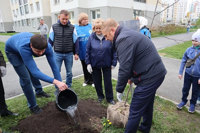 В Академическом районе депутаты регионального парламента высадили липы