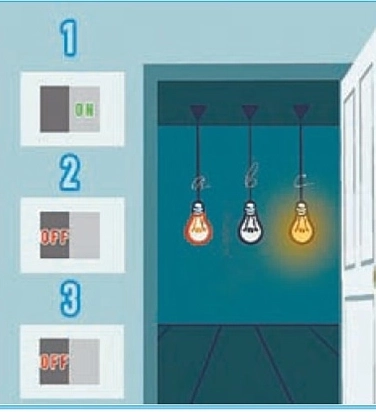 
        «Домашка» для бабушки. Простые тесты и задачки для профилактики деменции    