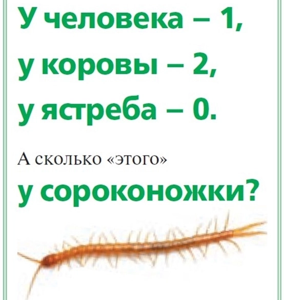 
        «Домашка» для бабушки. Простые тесты и задачки для профилактики деменции    
