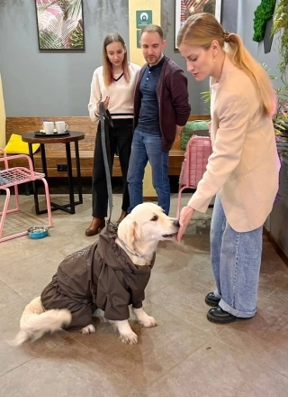 У питомцев часто есть 