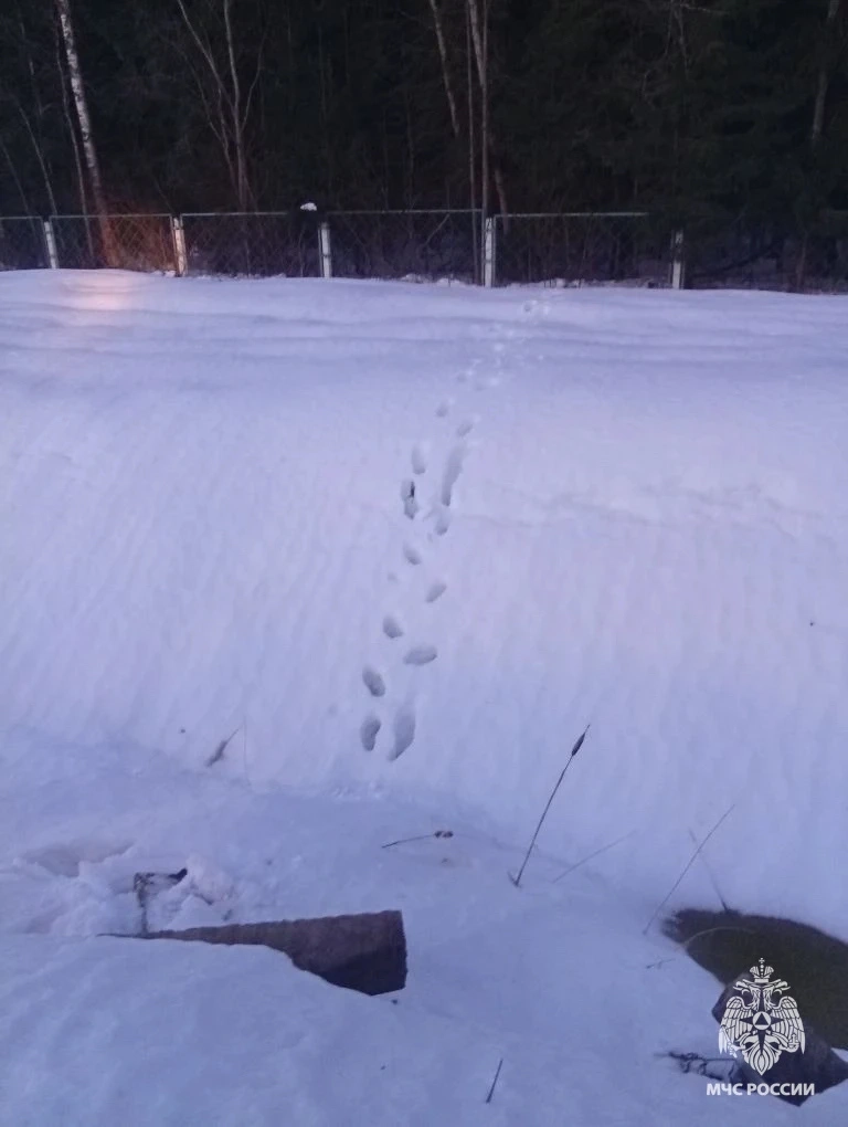 Мужчину нашли по следам.