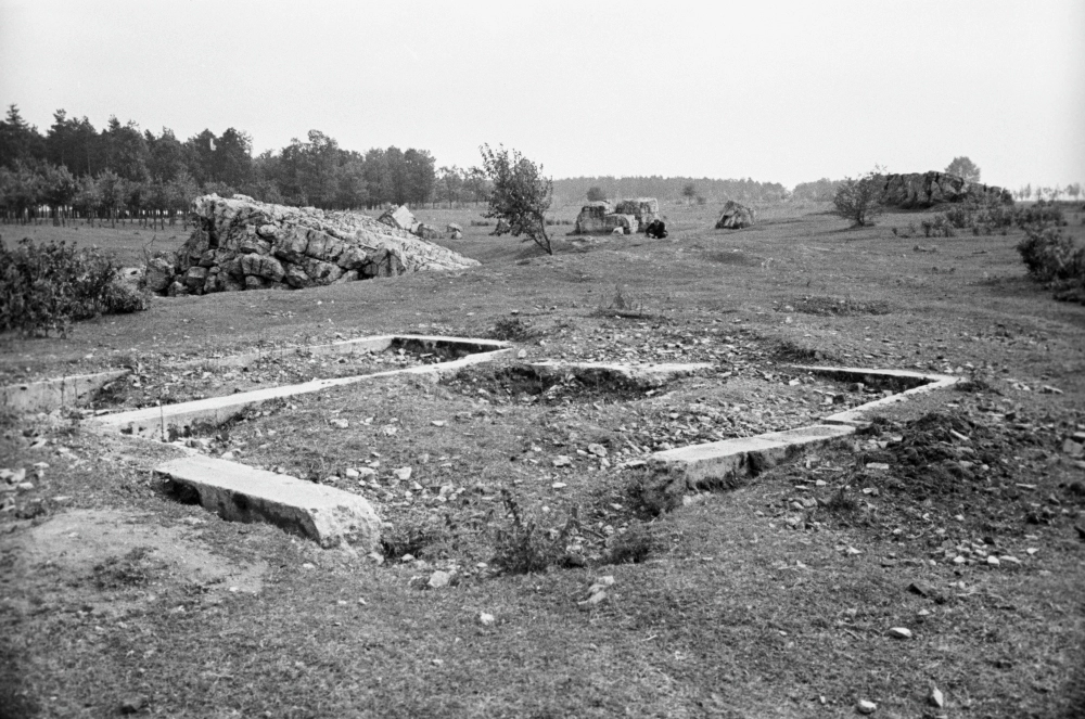 Развалины ставки Адольфа Гитлера «Вервольф» («Оборотень») в селе Коло-Михайливка под Винницей.