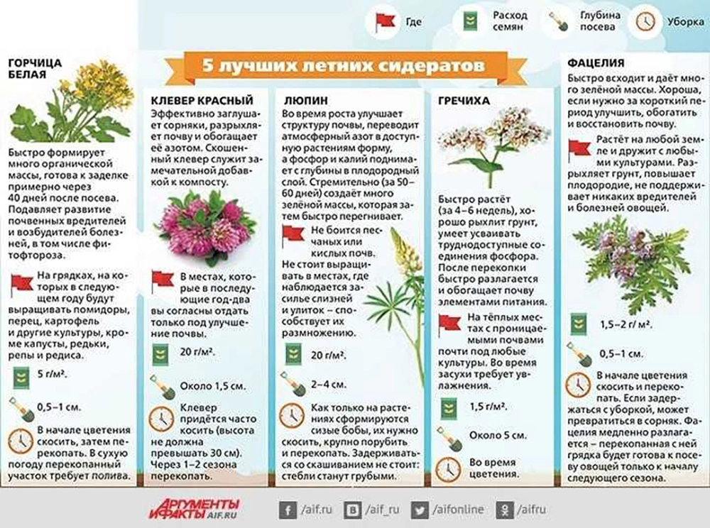 Нажмите для увеличения