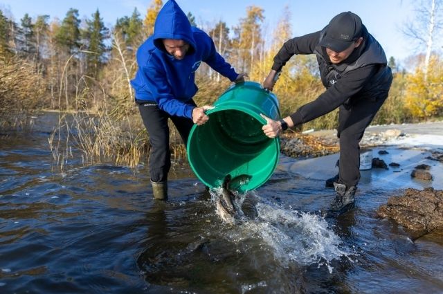 Уральские экологи вместе с депутатом Вихаревым оздоравливают водоемы