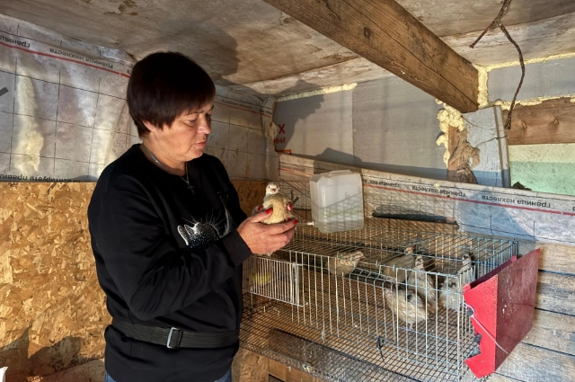 Наталья Солондаева