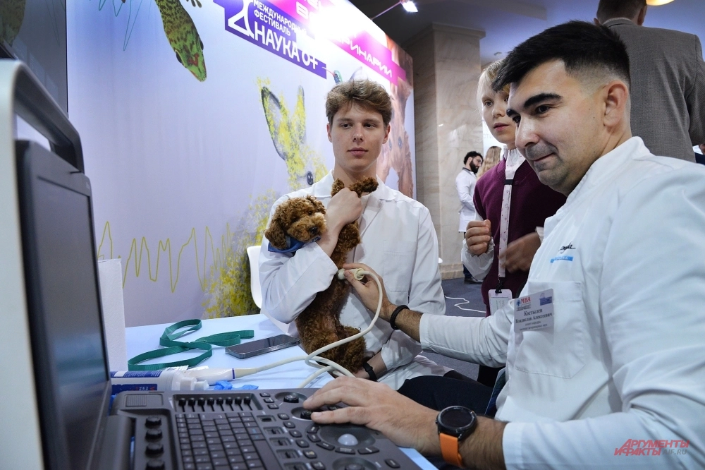 Международный фестиваль «Наука 0+».