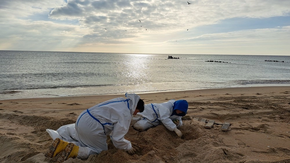 В Анапе с волонтерами