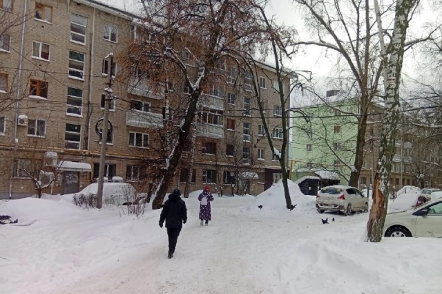 и все люди, и все автомобили подвергаются опасности – в любой момент дерево может рухнуть.