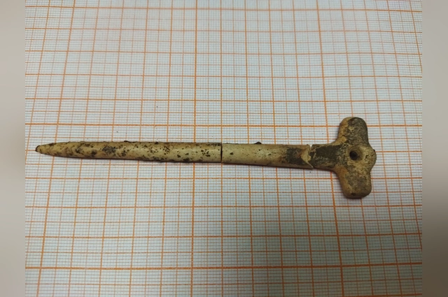 Костяная булавка.