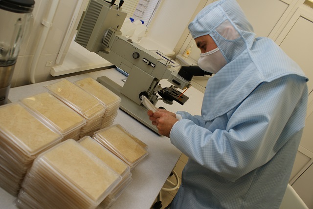 Производительность лаборатории максимум 500 упаковок биокожи в месяц