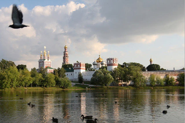 Вид на Новодевичий монастырь