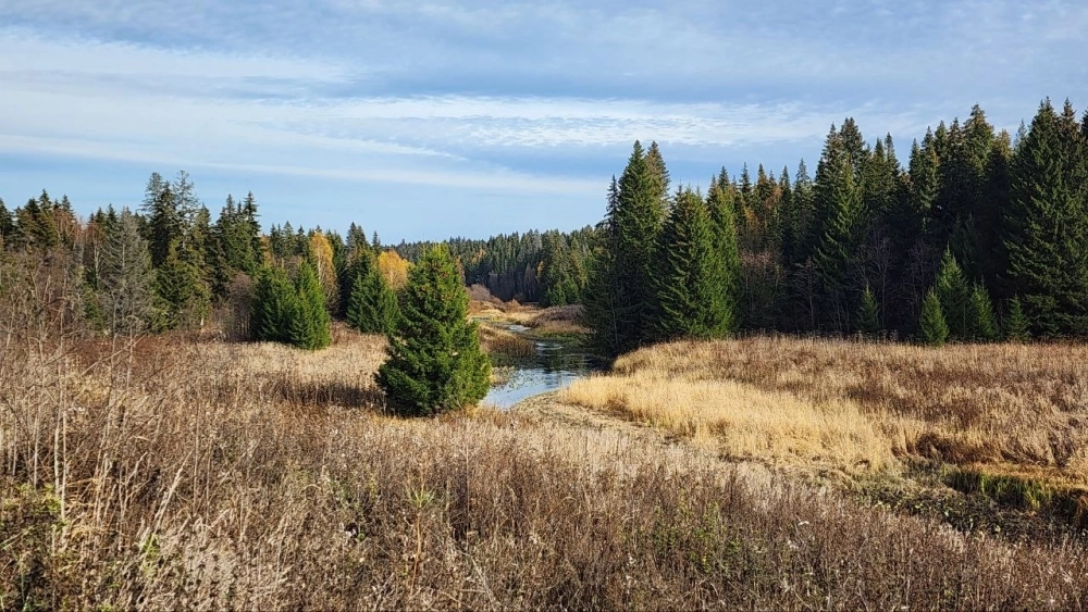 В этих живописных местах - звенящая тишина.