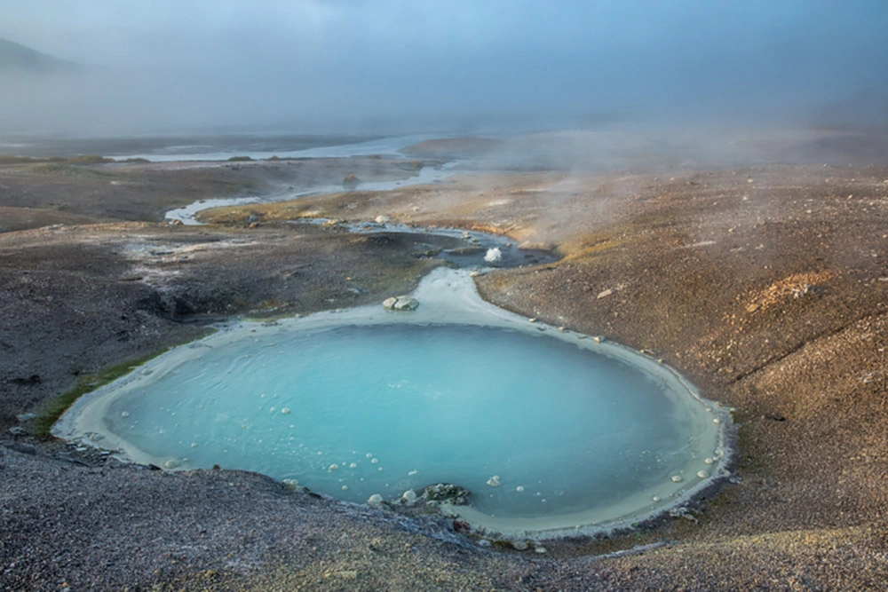 Микроорганизмы, живущие в кипяченой воде.