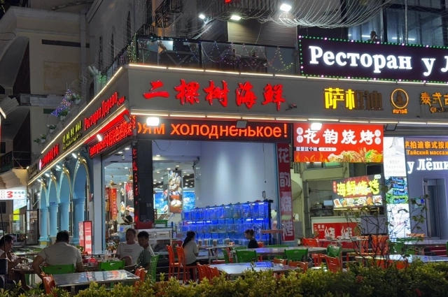 Санья быстро переходит на русский язык.