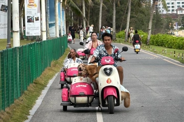 Многие китайцы и туристы гоняют по улицам на электрических мотороллерах.