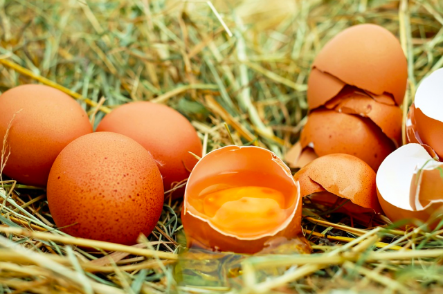 Яйца должны быть ровными и без повреждений.