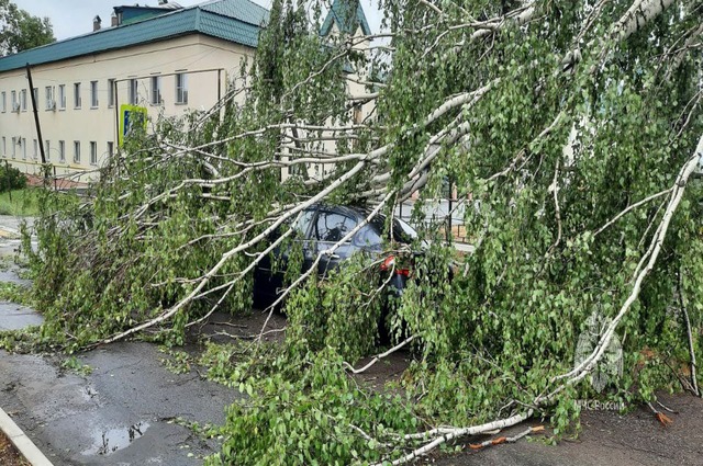 Сильный ветер ночью снес деревья, повредил крыши и фасады жилых домов, оборвал провода