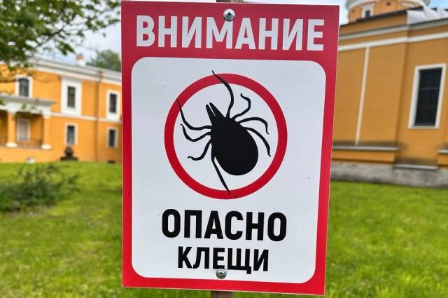 Клещи