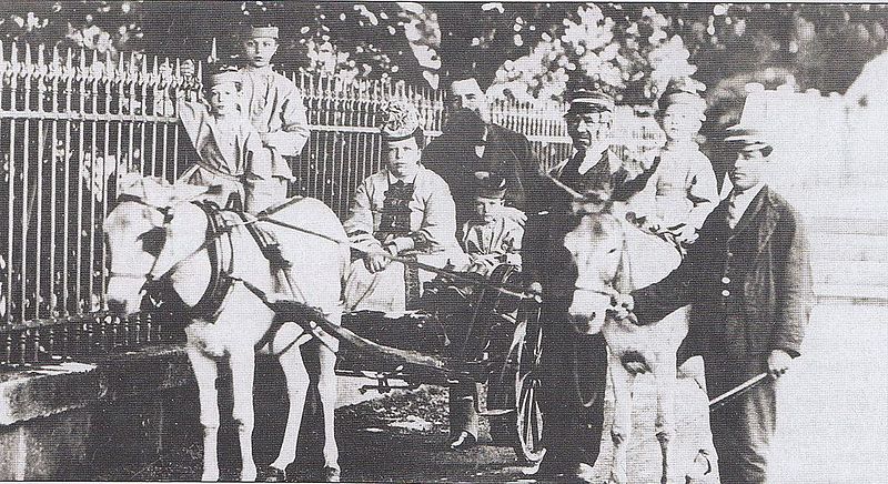 Бернгард Васильевич Струве (в центре) с женой и сыном Петром. Санкт-Петербург. 1880-е гг.