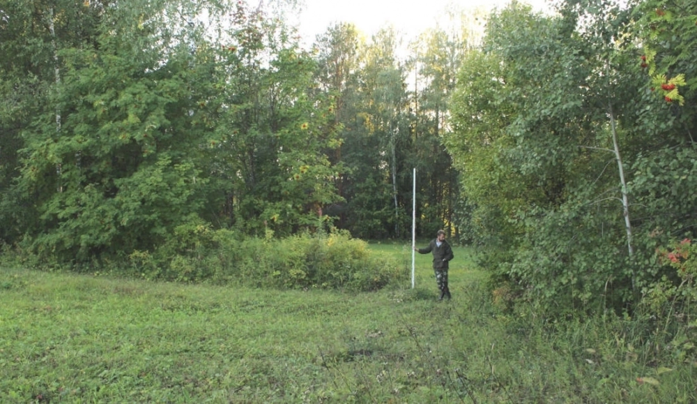 Городище Пармайлово I расположено в 1,2 км к северу от д. Пармайлово Кочёвского округа, в урочище Караин