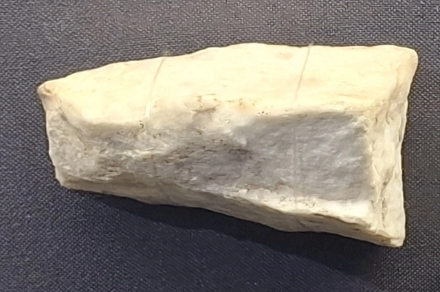 Фрагмент Колизея, привезенный из Рима ректором Казанскоого императорского университета Дмитрием Дубяго. 