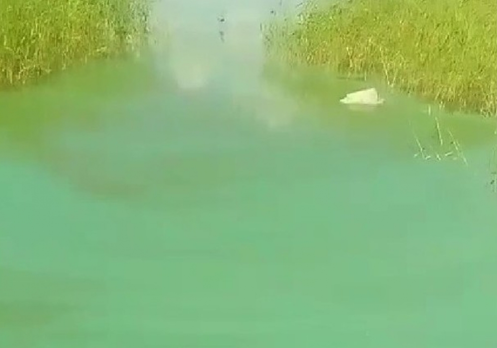 Зелёная вода в Кеноне