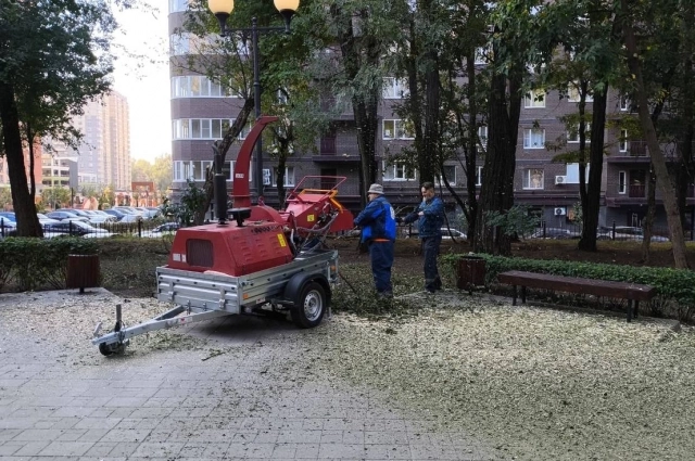 Майеру вменяли крупные финансовые нарушения при реставрации ростовского парка «Вересаево».