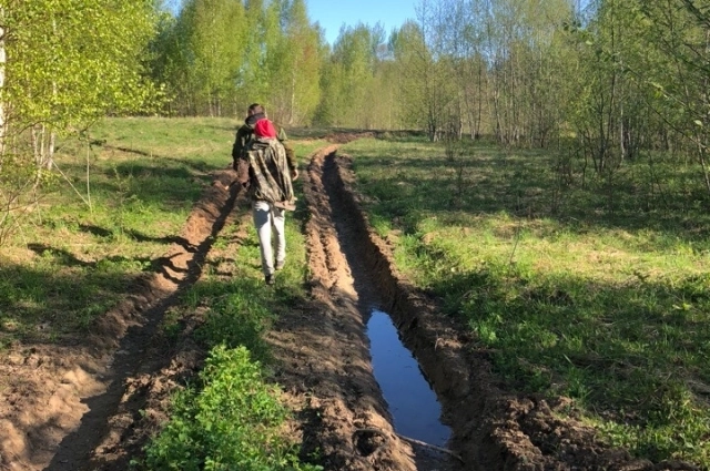 Дорога в лес к воинскому захоронению близ деревни Сазоненки Западнодвинского округа.