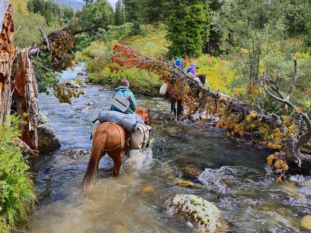Сидя верхом, переходя горные реки, выходишь сухим из воды - весомый плюс конного похода.