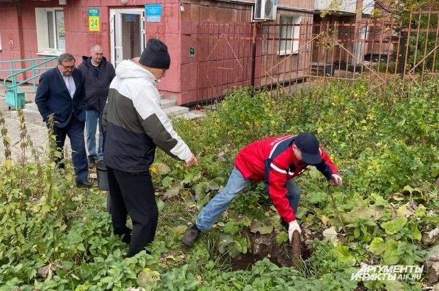 Михаил показал ещё два коллектора, которые требуют внимания 