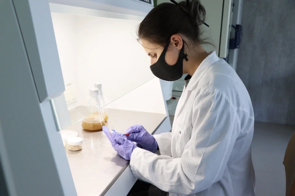 Такие снеки будут полезны и экологичны.