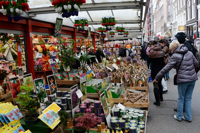 Цветочный базар в Амстердаме.
