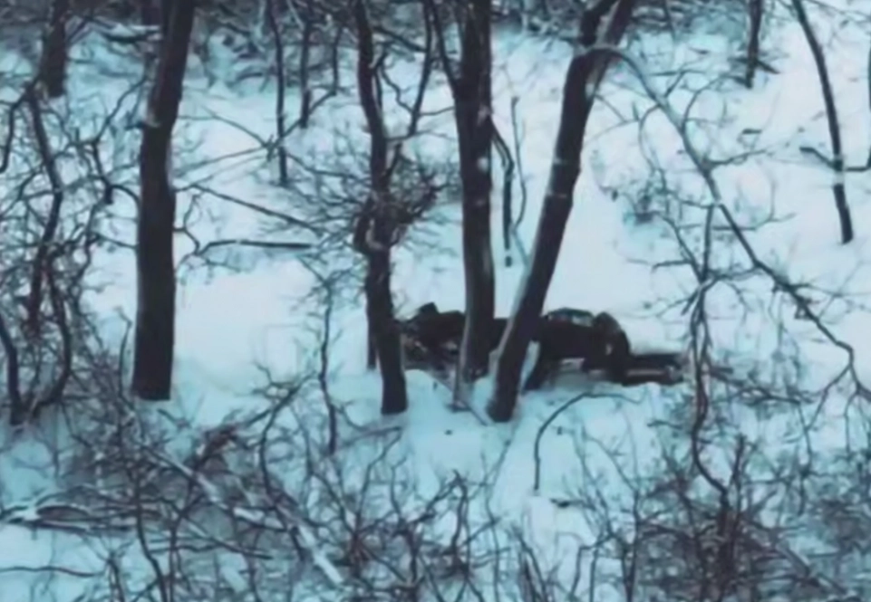 Диверсанты ВСУ пытаются скрыться в Димитрове