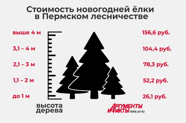 Стоимость новогодних ёлок в Прикамье