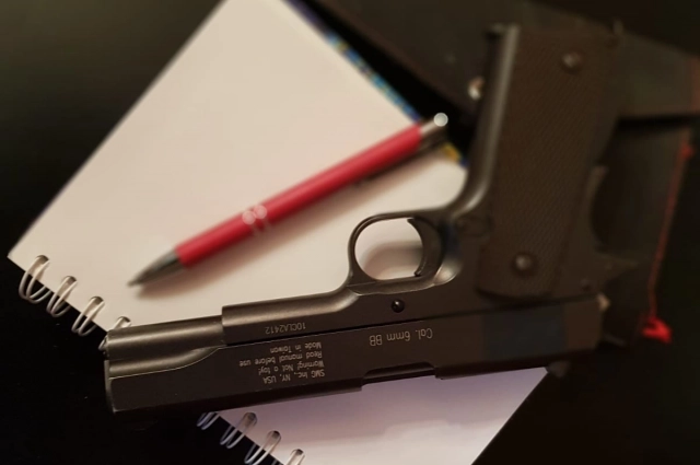 Нарушитель вынудил полицейского применить табельное.