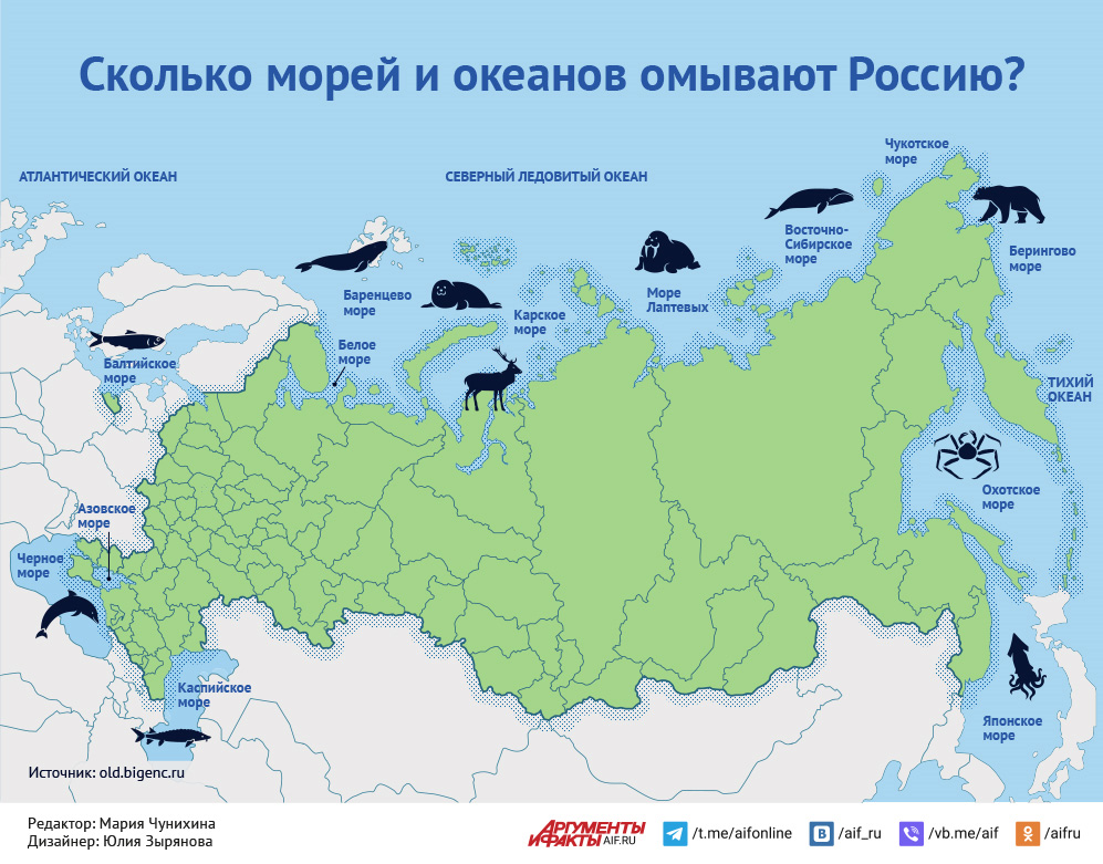 Какое море омывает нашу страну с севера. Моря омывающие Россию. Моря и океаны омывающие Россию. Моря и океаны омывающие Россию на карте. Воды омывающие Россию.