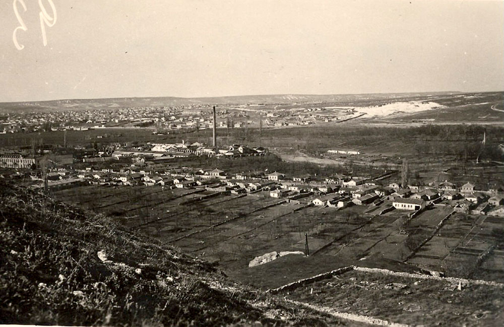 Вид на Петровское кладбище, 1942 г.