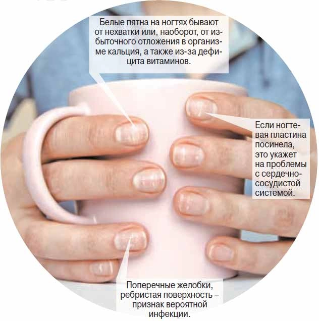 Нажмите для увеличения