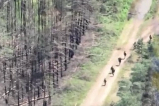 Боевики ВСУ под Купянском.