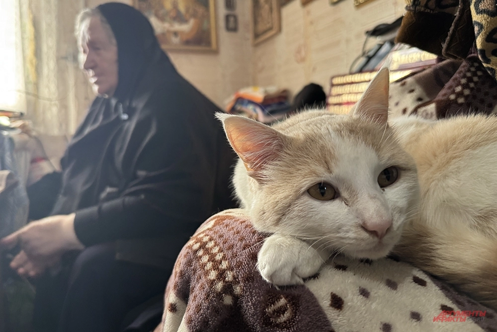 Кот Котя и матушка Екатерина.