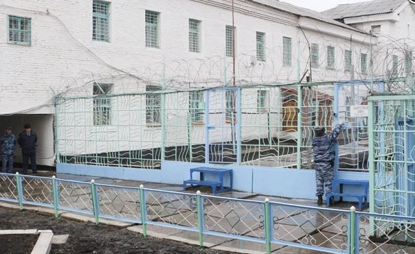 Колония ИК-6