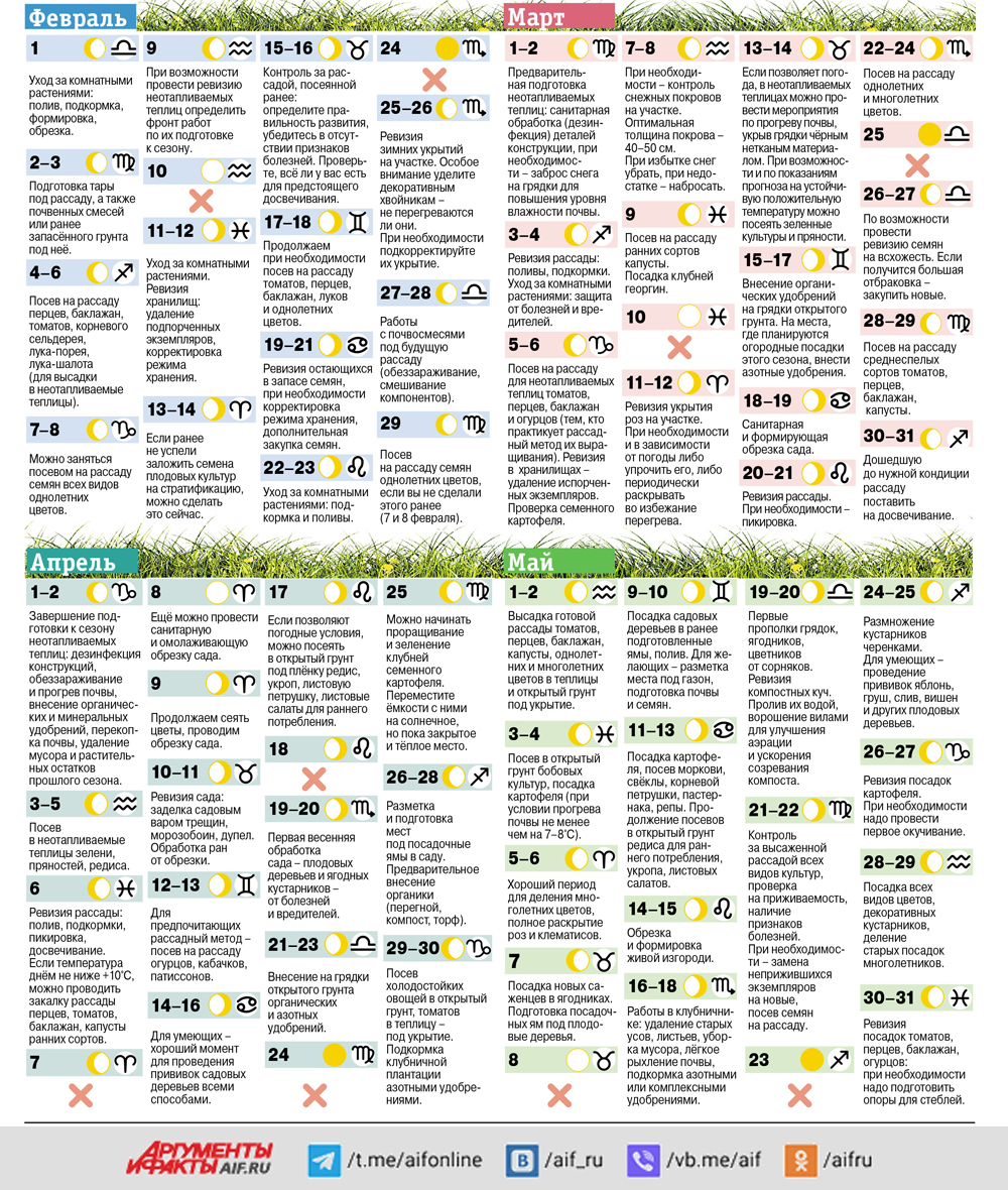 Лунный календарь садовода и огородника — 2024. Инфографика | Аргументы и  Факты