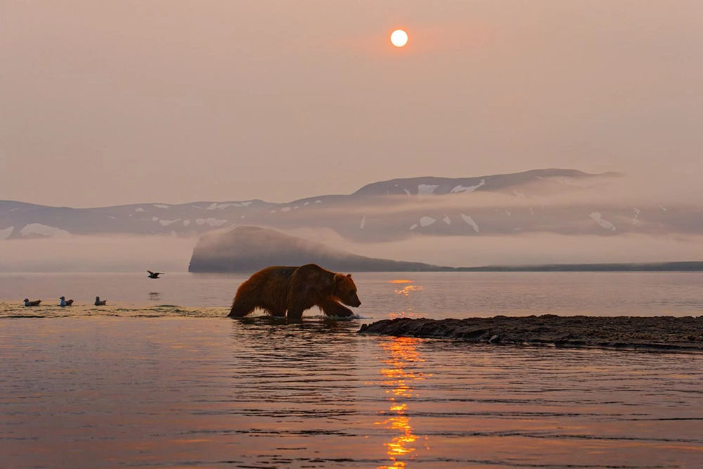 Первозданная Россия. Произведения Геннадия Юсина.
