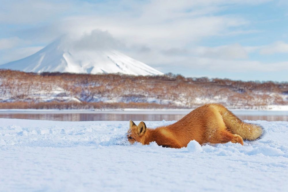 Первозданная Россия. Произведения Геннадия Юсина.